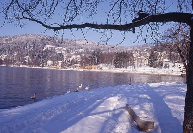 Gite Les Glycines Gérardmer Exterior foto